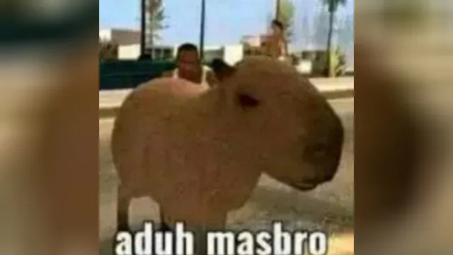 Masbro meme card