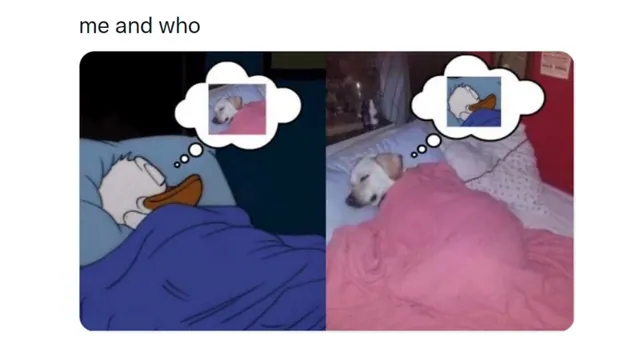 Me and Who? meme card