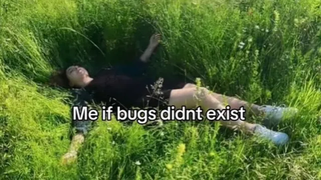 Carte meme Me If Bugs Didn’t Exist