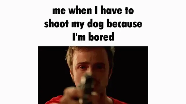 Me When I Have to Shoot My Dog Because I'm Bored meme card