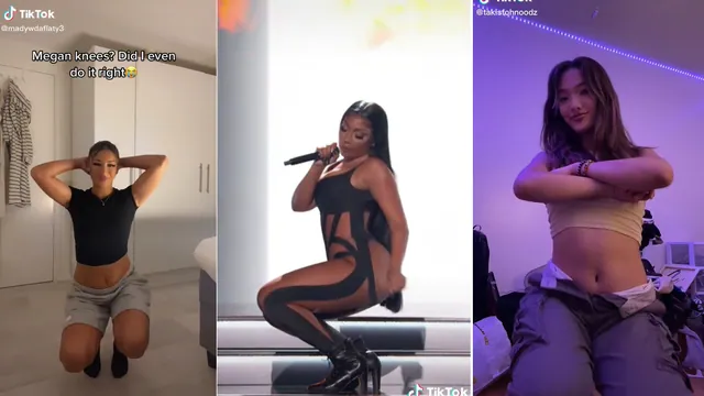 Megan Knees / Good Knees Challenge meme card