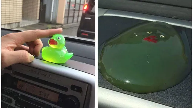 Carte meme Melted Duck on a Dashboard
