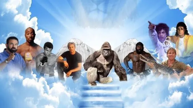 Carte meme Meme Heaven