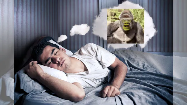 Memes From Dreams / This Meme Came To Me In A Dream meme card