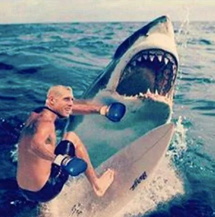 Carte meme Mick Fanning Shark Attack