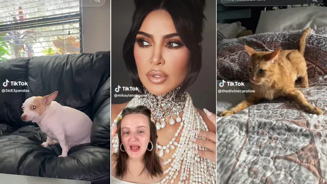 Mikayla Nogueira Saying 'Kim Kardashian' meme card