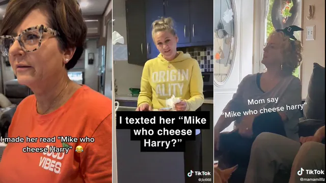 Mike Who Cheese Hairy meme card