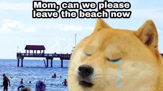 Mom, Can We Leave the Beach Now meme card