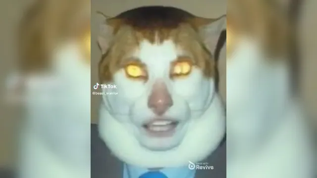 Monday Left Me Broken Cat / Mr. Peebles / Singing Yellow-Eyed Cat meme card