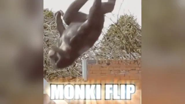 Monki Flip meme card