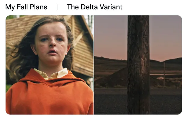 My Fall Plans / Delta Variant meme card