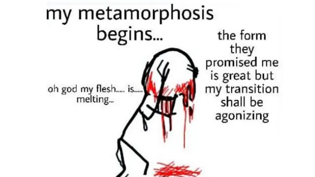 Carte meme My Metamorphosis Begins