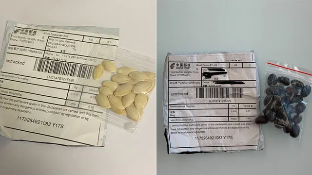 Carte meme Mystery Seeds From China
