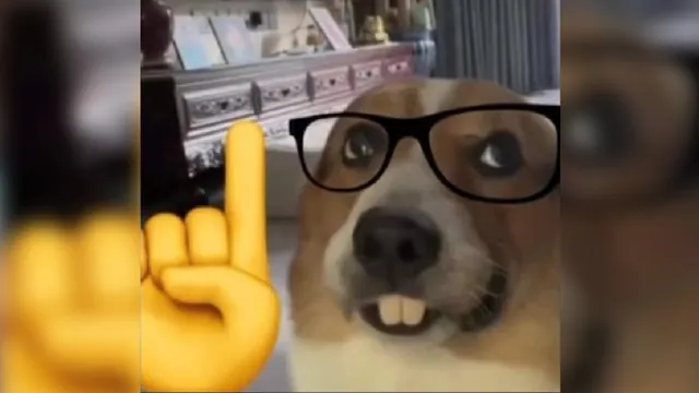 Nerd Dog meme card