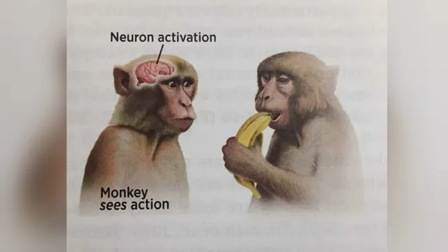 Neuron Activation meme card