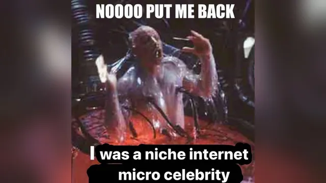 Niche Internet Micro Celebrity meme card