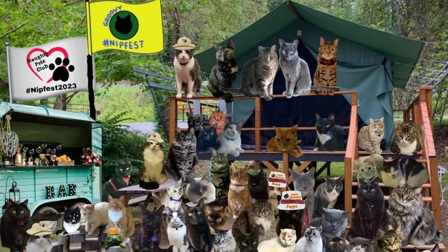Carte meme Nipfest