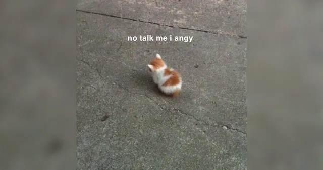 No Talk Me I'm Angy meme card