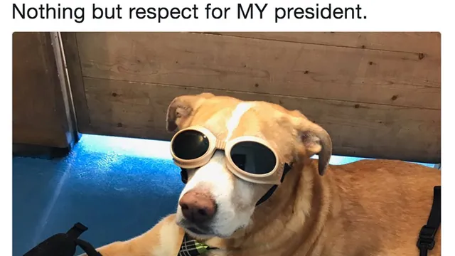 Nothing But Respect for My President meme card