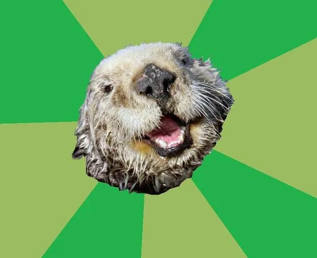 OCD Otter meme card