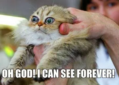 Carte meme Oh God! I Can See Forever!