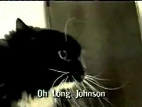 Oh Long Johnson meme card