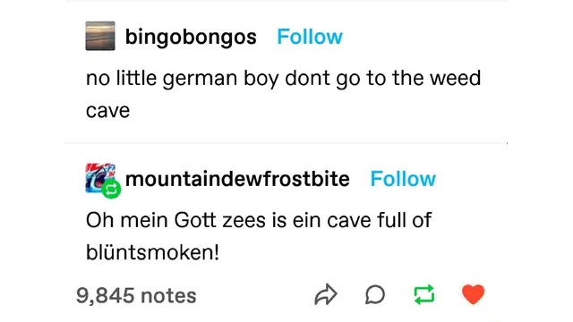 Carte meme Oh Mein Gott Zees Is Ein Cave Full Of Blüntsmoken!