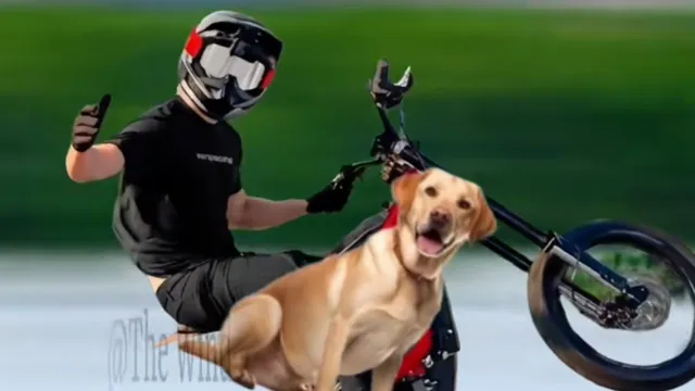 "Oh, No, No, No," E-Bike Accident Audio meme card