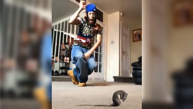 Carte meme Oh Shit, a Rat
