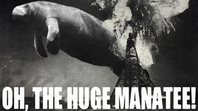 Oh, the Huge Manatee meme card