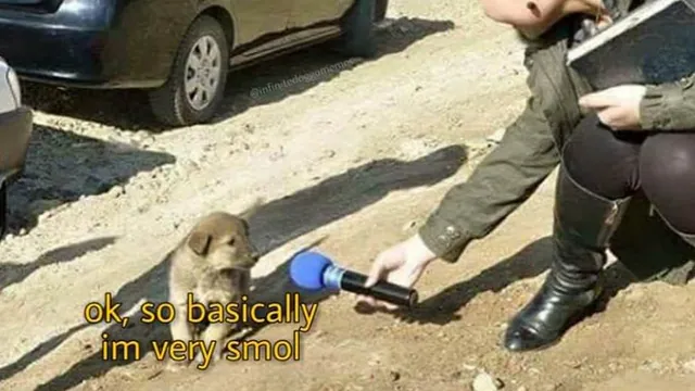 Carte meme Ok, So Basically Im Very Smol