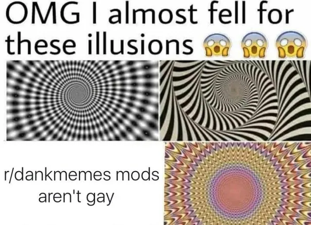 Carte meme OMG I Almost Fell For These Illusions
