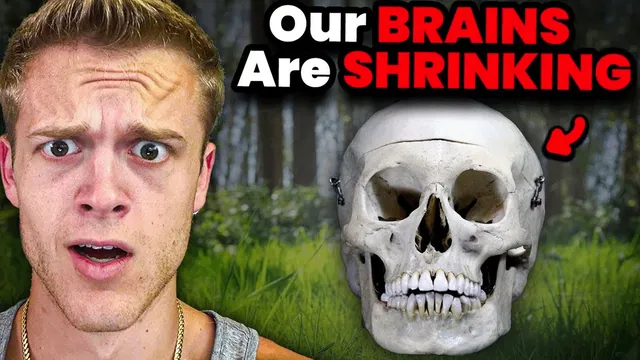 Carte meme Our Brains Are Shrinking