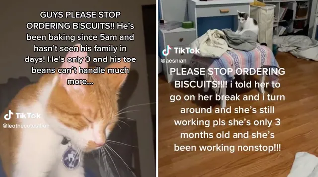 Carte meme Overworked Cats Making Biscuits