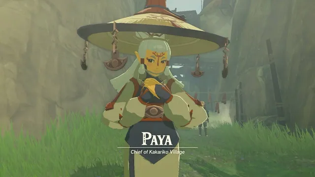 Paya (Zelda) meme card