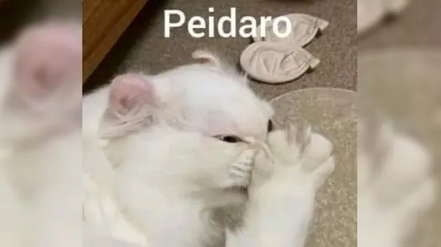 Peidaro (Someone Farted) meme card