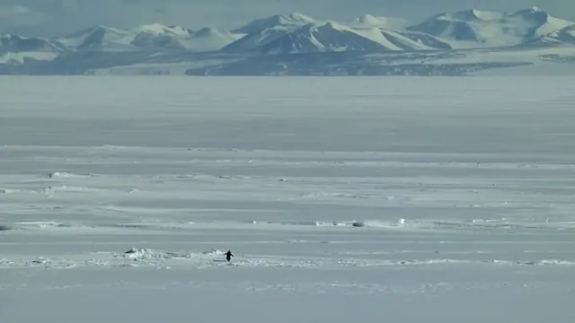 Carte meme Penguin Walking Toward Mountain / Nihilist Penguin