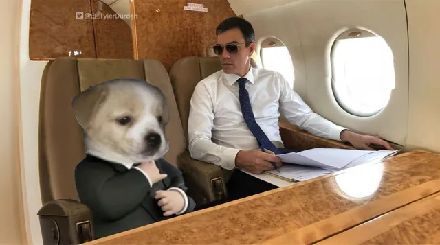 Perro Sanxe meme card