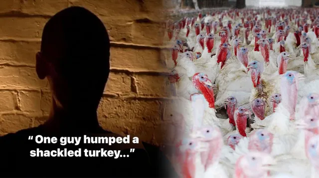 PETA Butterball Turkey Video meme card
