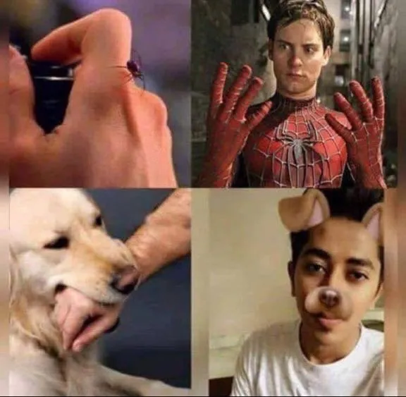 Carte meme Peter Parker’s Spider Bite