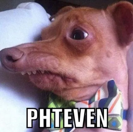 Phteven / Tuna the Dog meme card