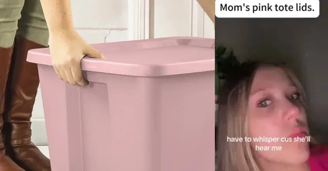 Pink Tote Lid Moment / Pink Tote Mom meme card
