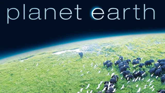 Planet Earth meme card