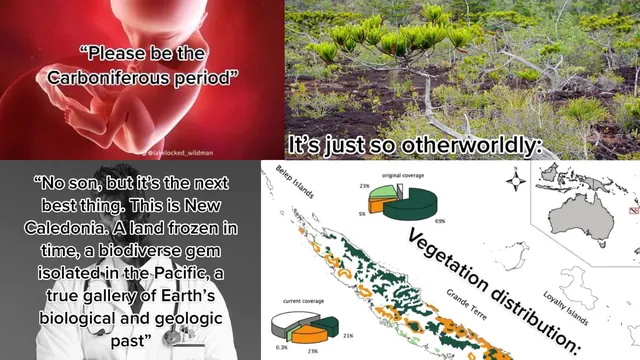 Please Let Me Be Born In X / Niche Ecology Posting meme card