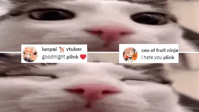 Carte meme Plink