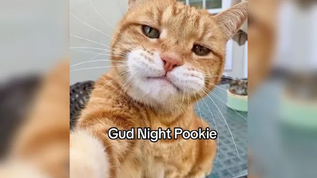 Carte meme Pookie