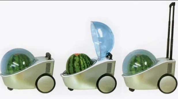 Carte meme Portable Watermelon Cooler