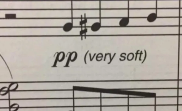 PP (Very Soft) meme card