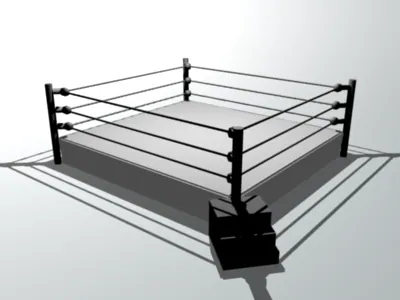 Professional Wrestling meme card