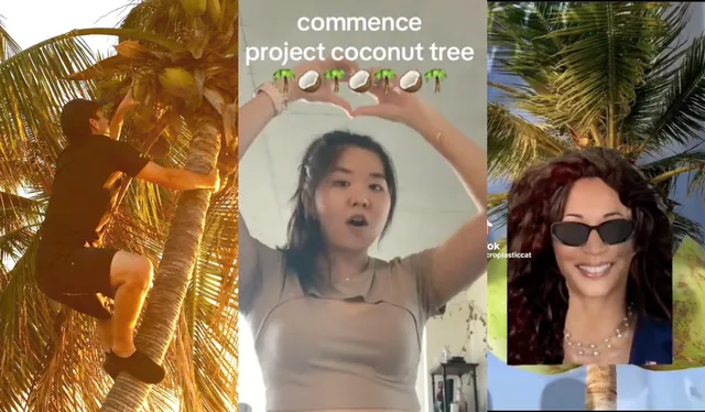 Project Coconut meme card
